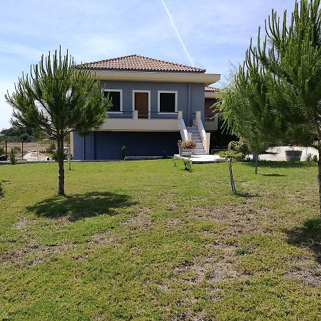 Alekos Beach Houses-Angelo Lixouri Dış mekan fotoğraf