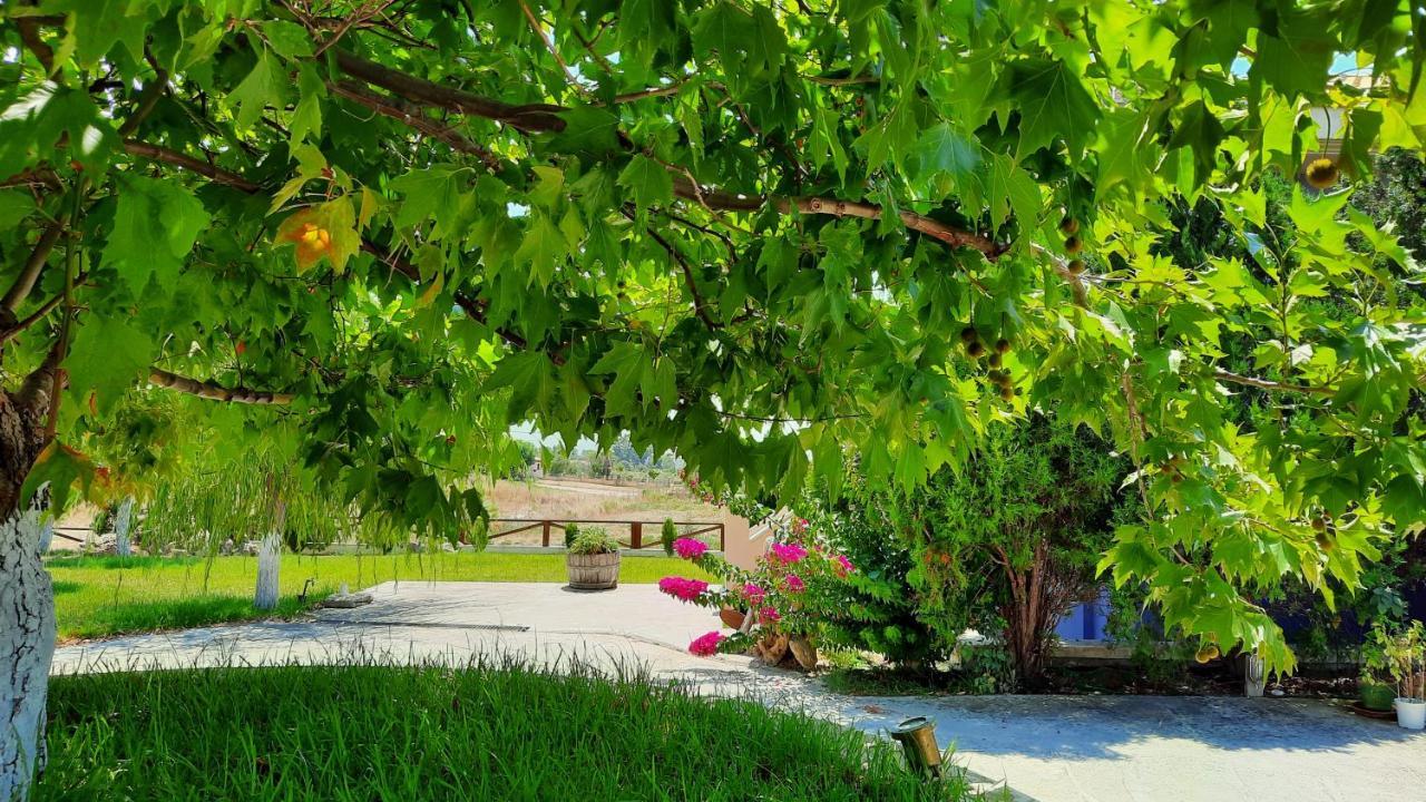 Alekos Beach Houses-Angelo Lixouri Dış mekan fotoğraf