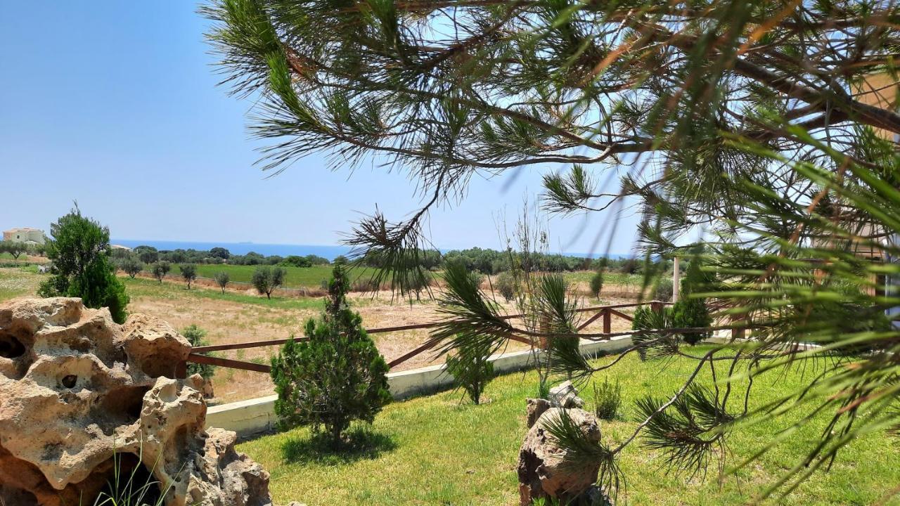 Alekos Beach Houses-Angelo Lixouri Dış mekan fotoğraf